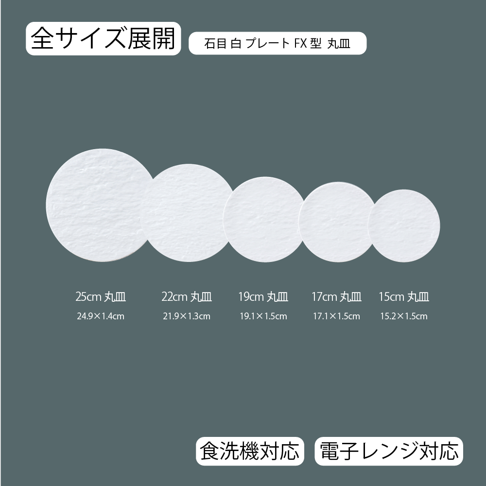 サイズ